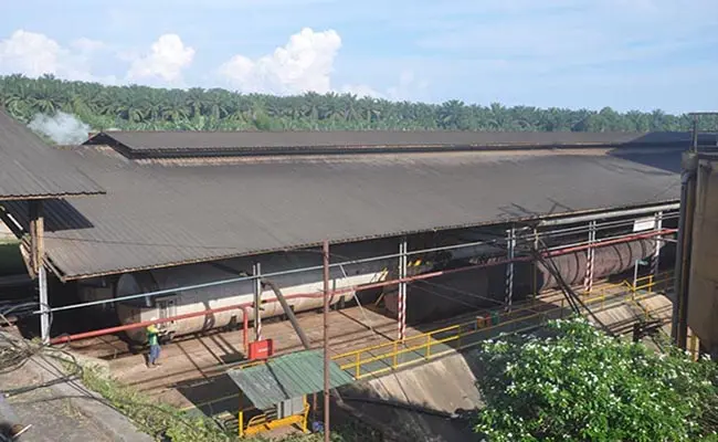 PT Semunai Sawit Perkasa